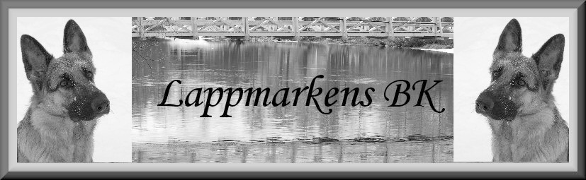 Lappmarkens Brukshundsklubb