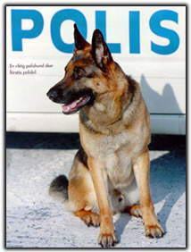 Thumbnail Image 1