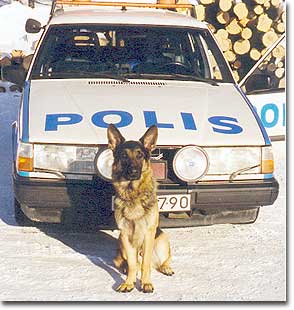 Thumbnail Image 1