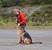 Gabriella & Fjällbrantens Cosmo